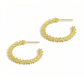 Hoop Earrings - Roma