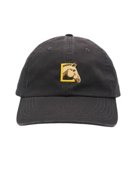 National Geographic x Parks Project Wild Horses Organic Dad Hat