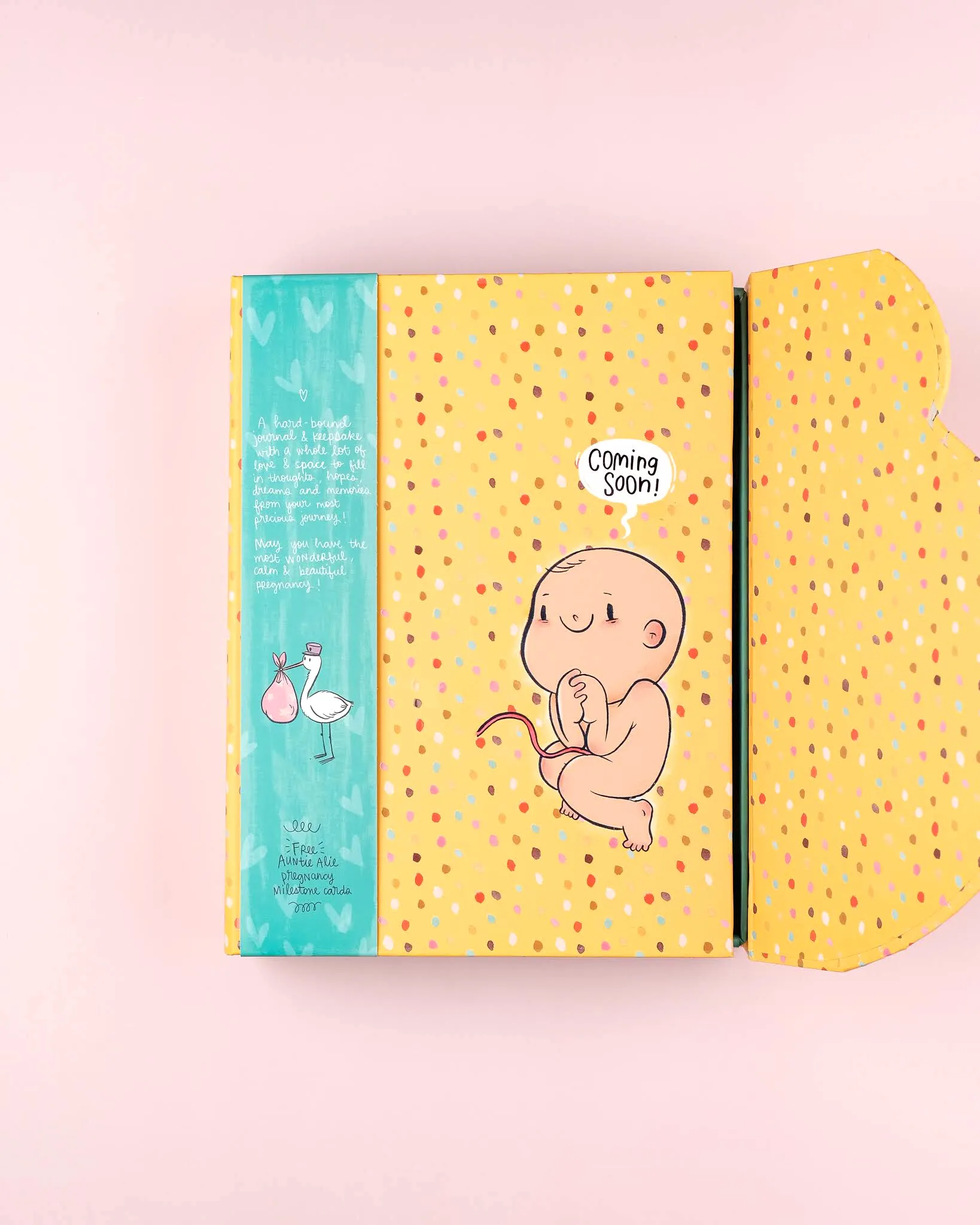 Pregnancy Journal