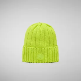 Unisex ribbed beanie jo in lichen green